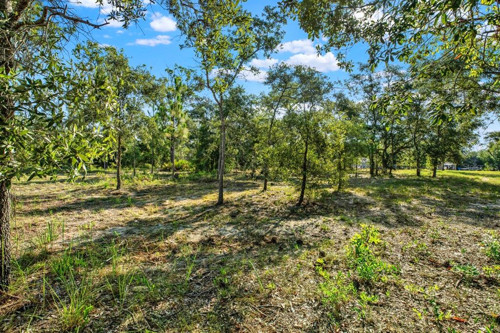 0 Condor Road Brooksville, FL 34614 - Photo 13 of 19