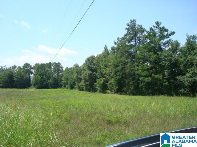 0 Dabbs Road, Unit 19 & 20 Oxford, AL 36203 - Photo 16 of 33