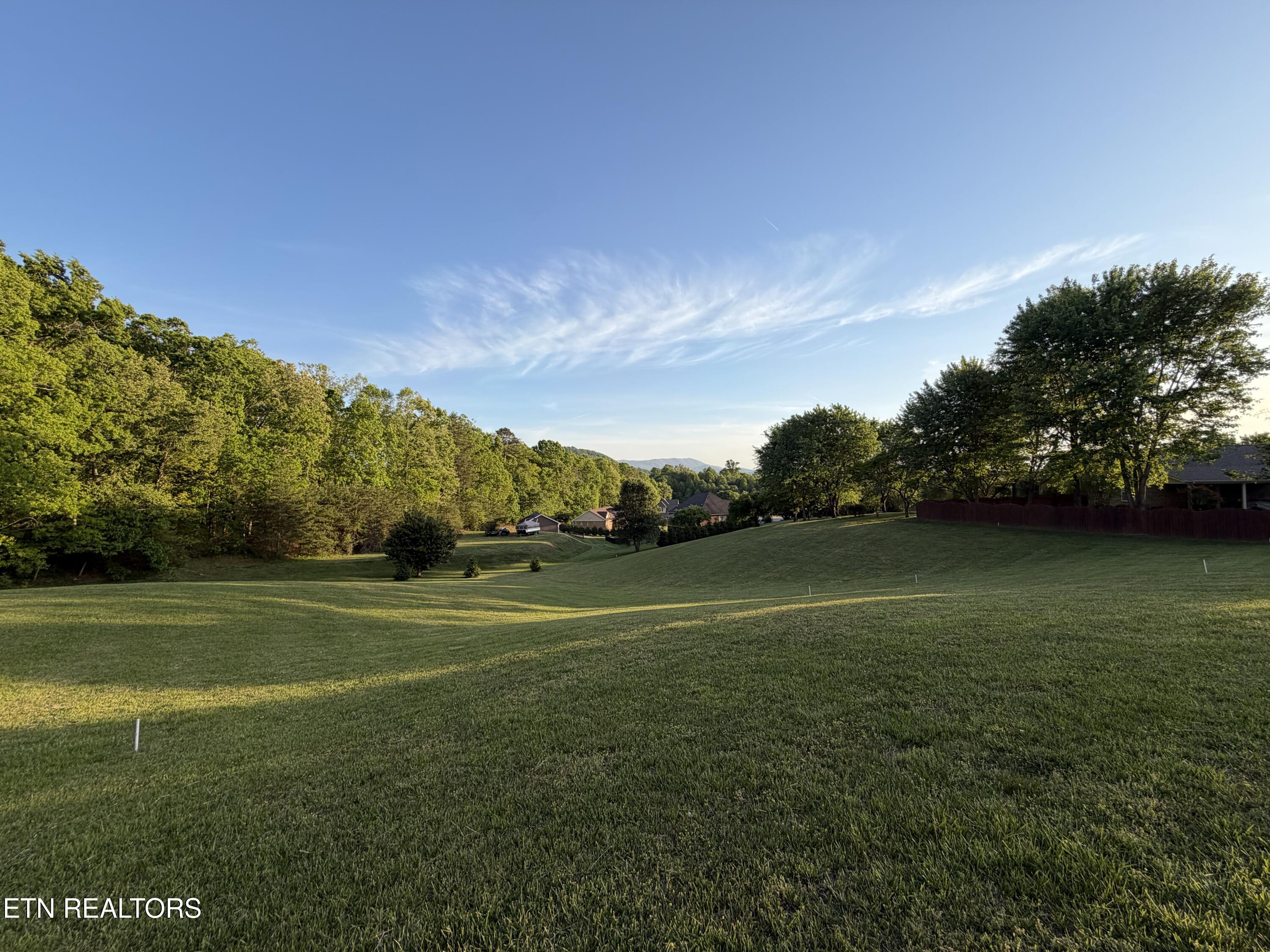 Ridge Road Sevierville, TN 37862 - Photo 13 of 18 IMG_8595
