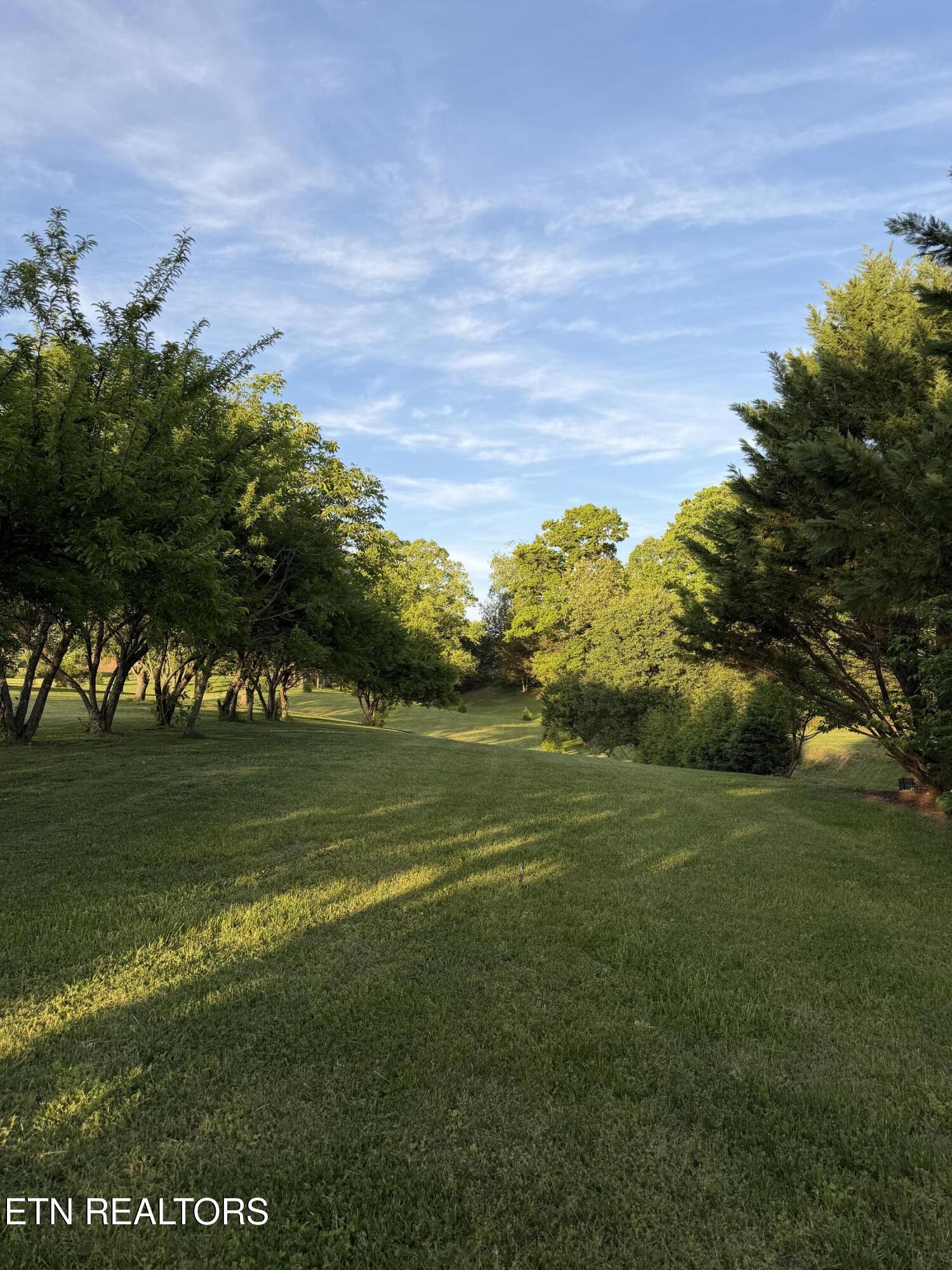 Ridge Road Sevierville, TN 37862 - Photo 15 of 18 IMG_8591