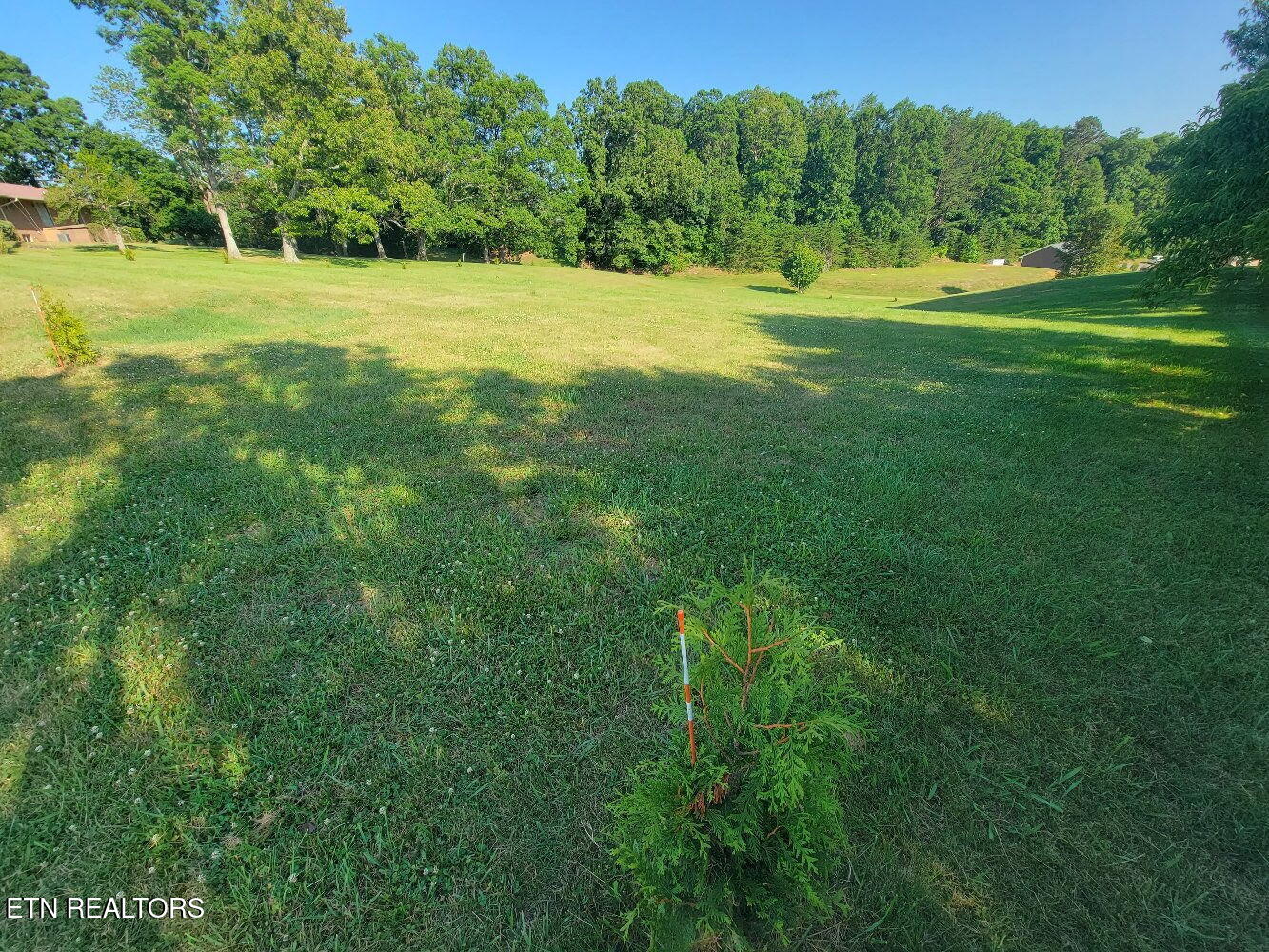 Ridge Road Sevierville, TN 37862 - Photo 9 of 18 20230602_175700