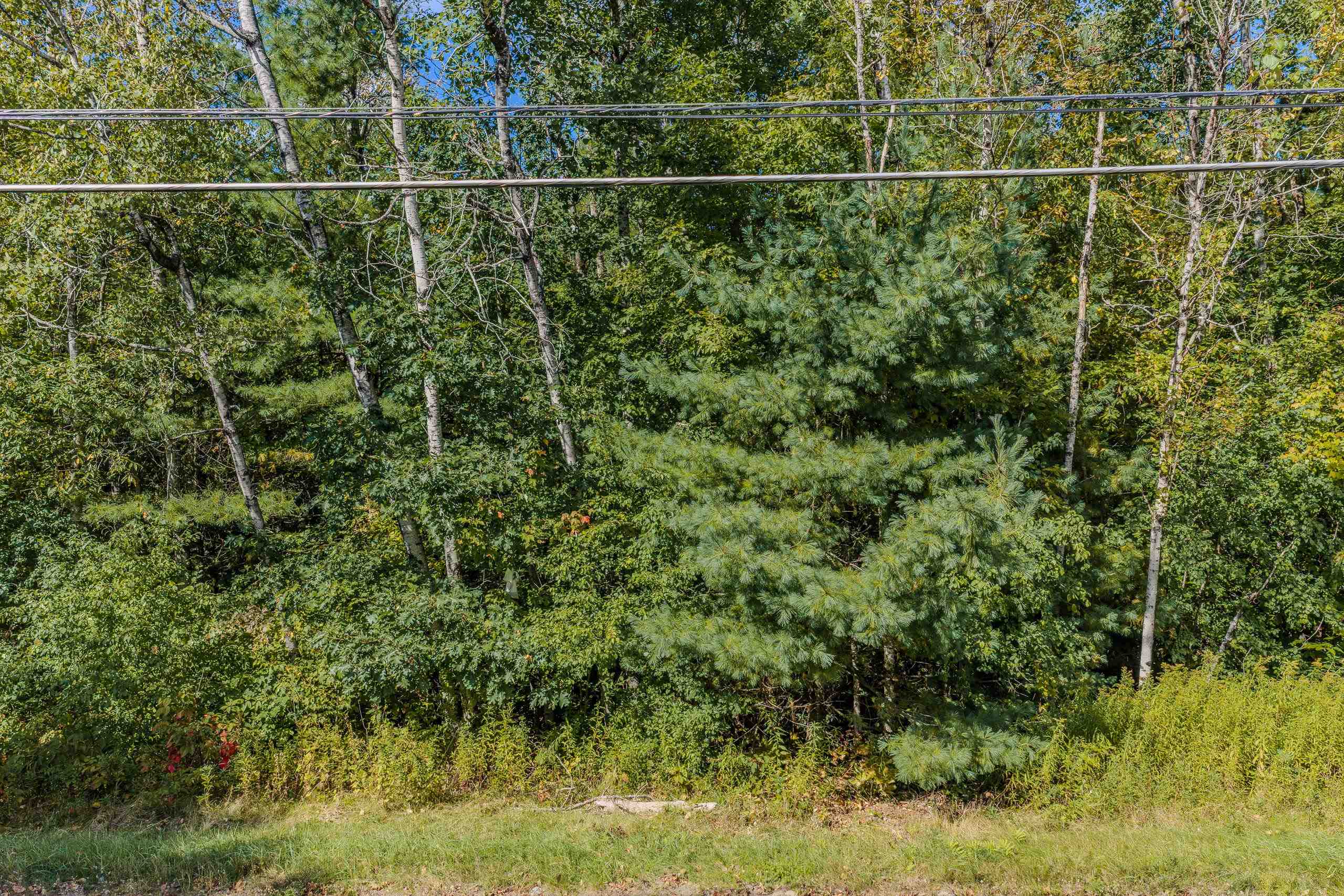 Mt Eustis Road, Unit R33009000 Lisbon, NH 03585 - Photo 39 of 39 Gallery Image 39
