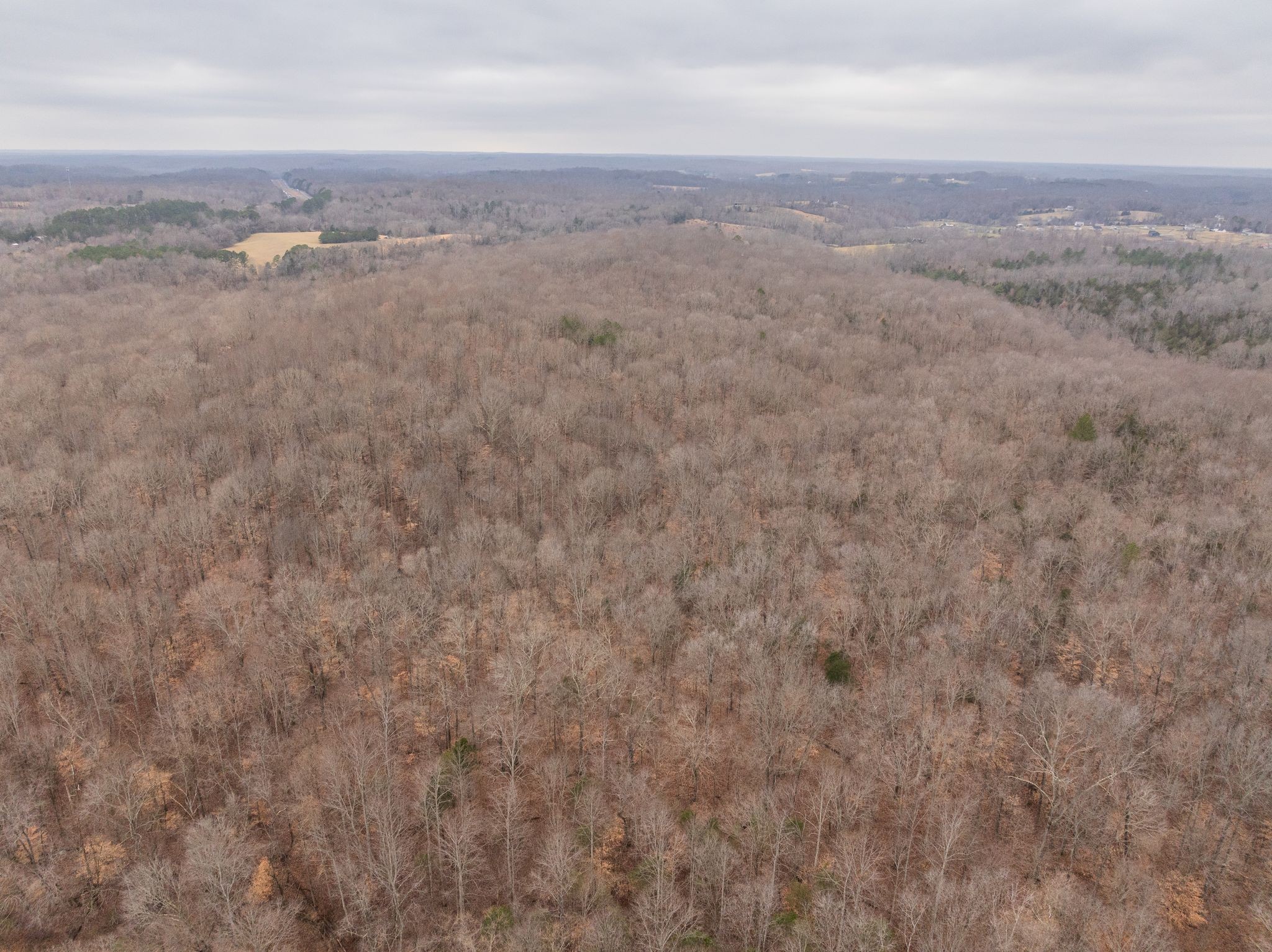 0 Wiley Branch Road Dickson, TN 37055 - Photo 21 of 27