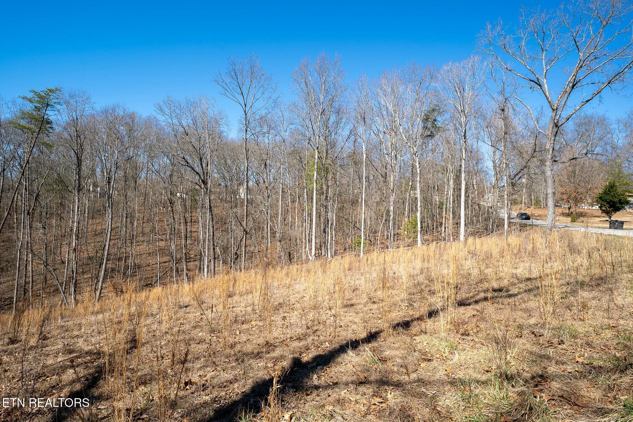 229 Clear Springs Rd
