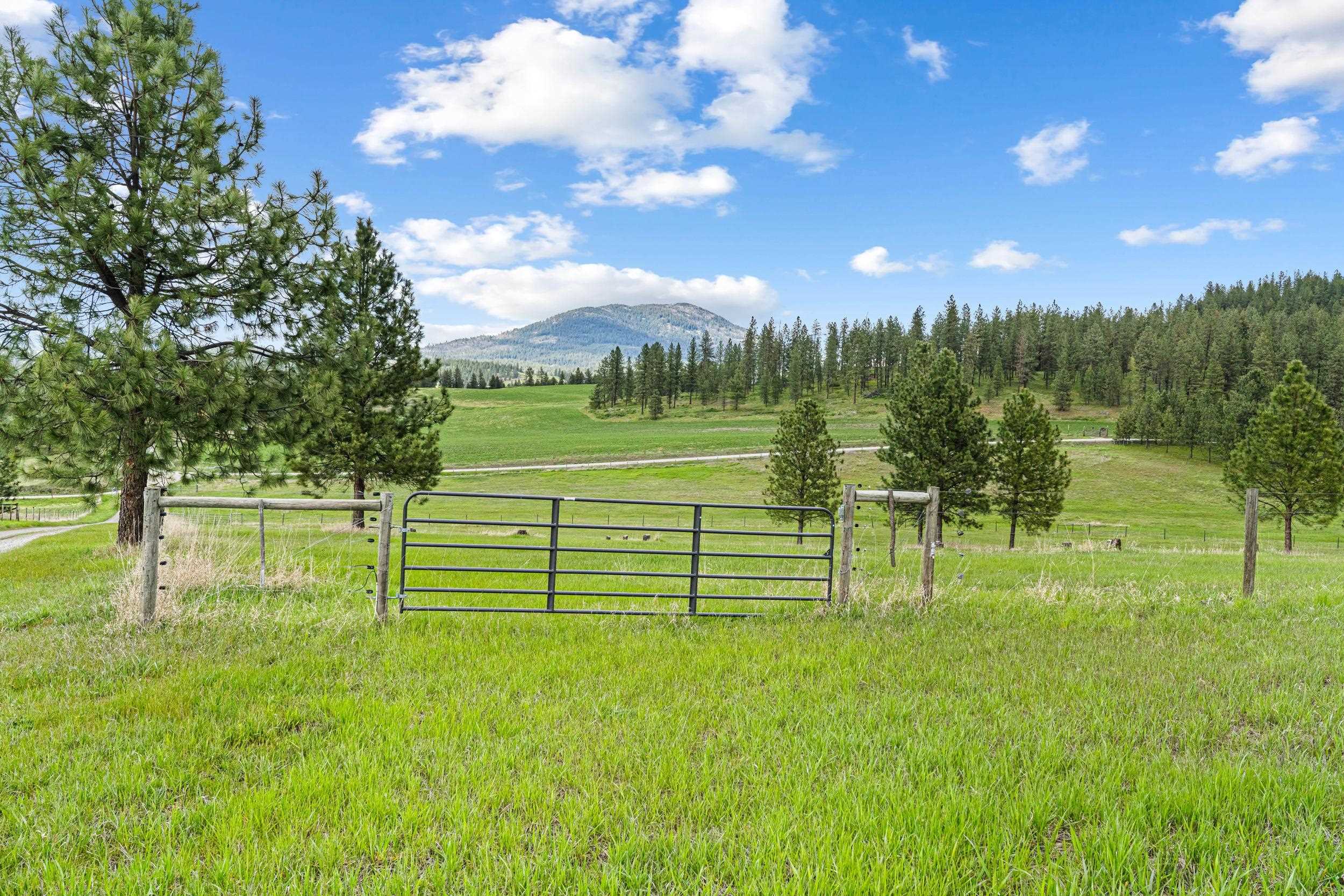 688 A Mahoney Road Colville, WA 99114 - Photo 44 of 47