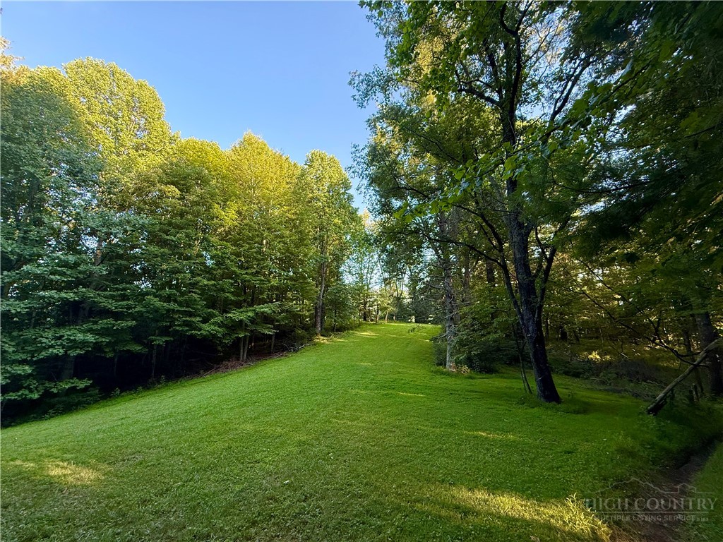 1025 Lue Jones Road Warrensville, NC 28693 - Photo 10 of 23