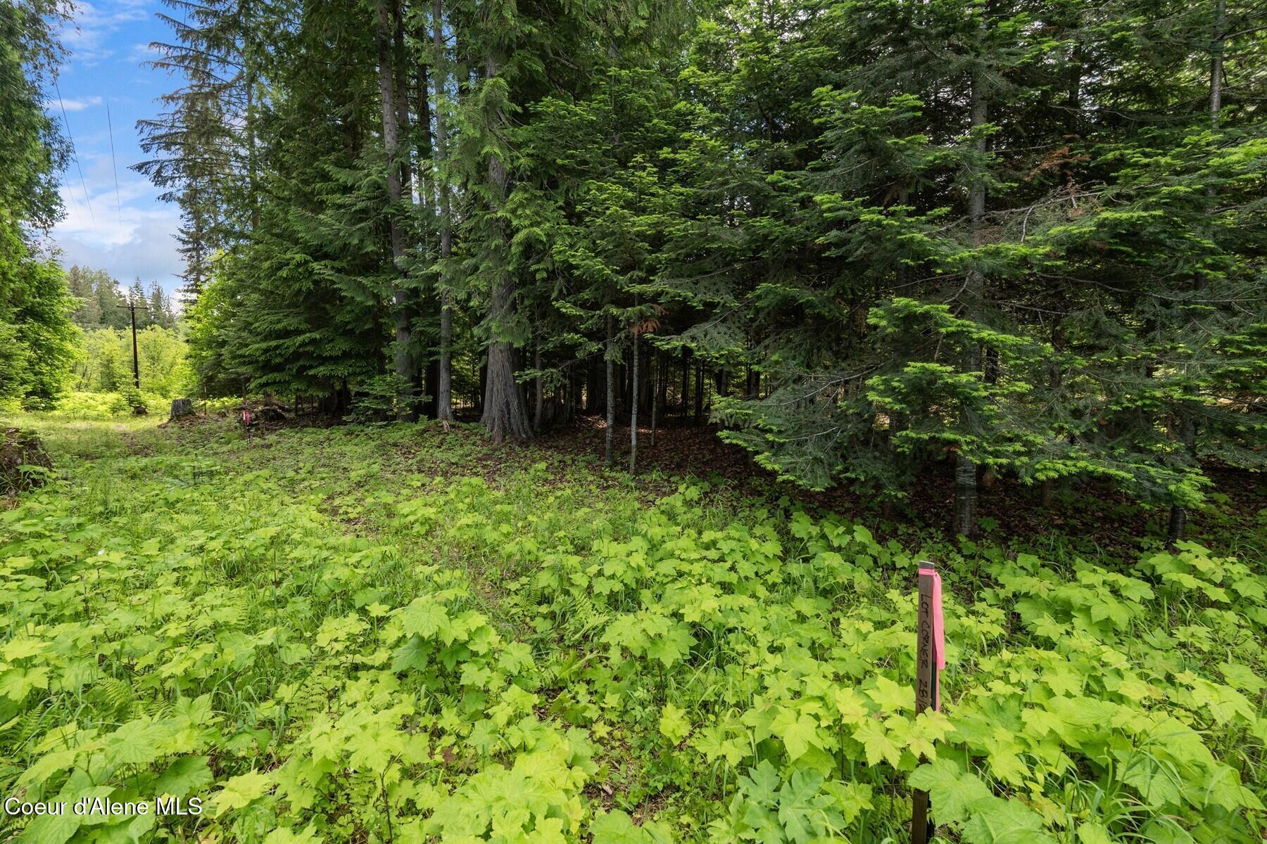 Nna Bruin Road Nordman, ID 83848 - Photo 14 of 44 86560221