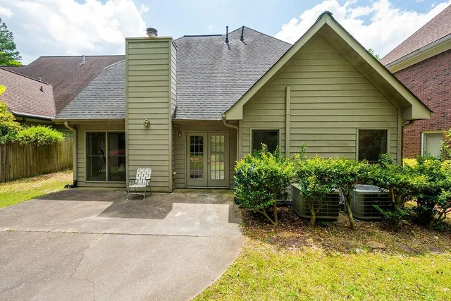 a view of a yard with plants and large trees