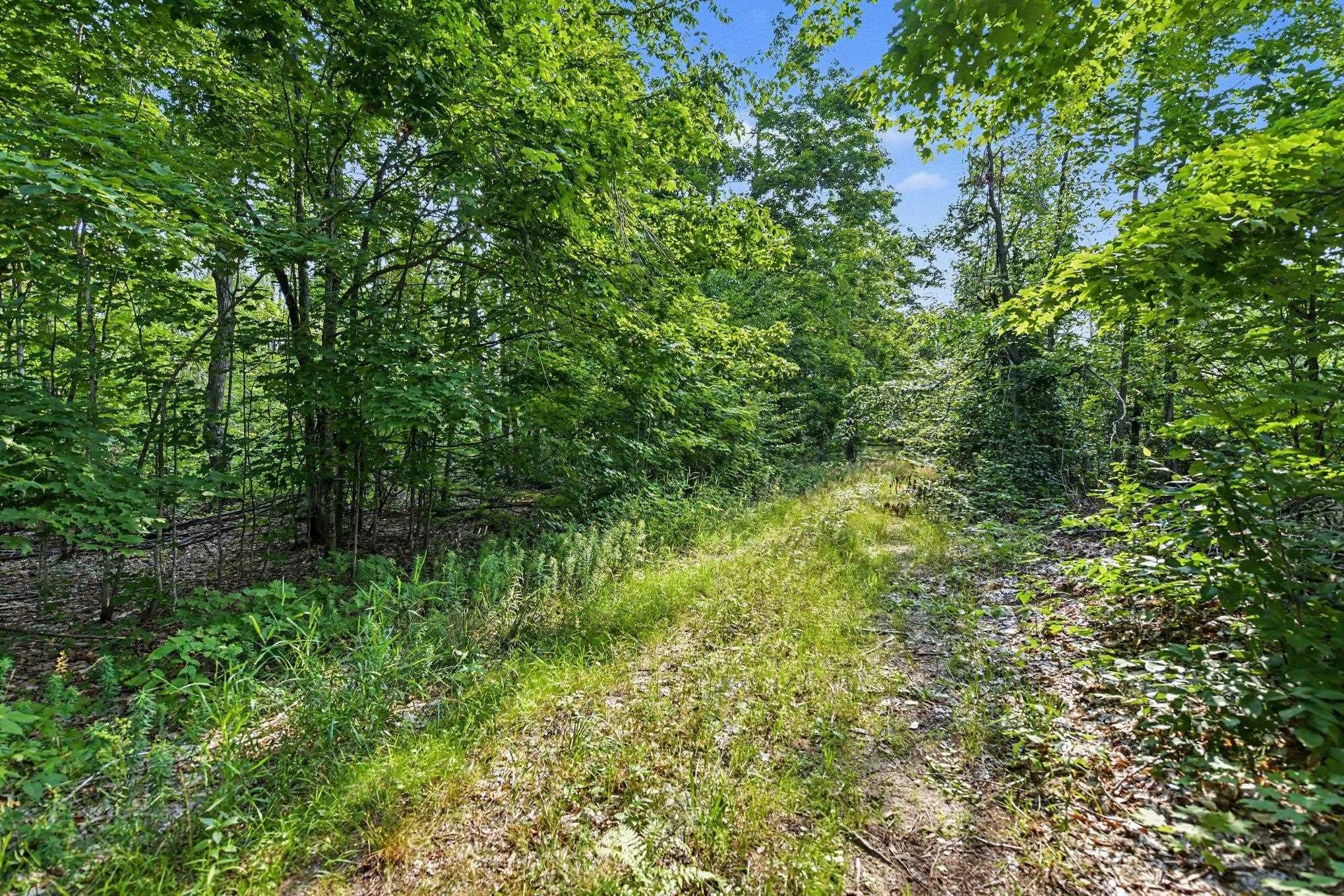 0 Parmater Road Gaylord, MI 49735 - Photo 4 of 19 Gallery Image 4