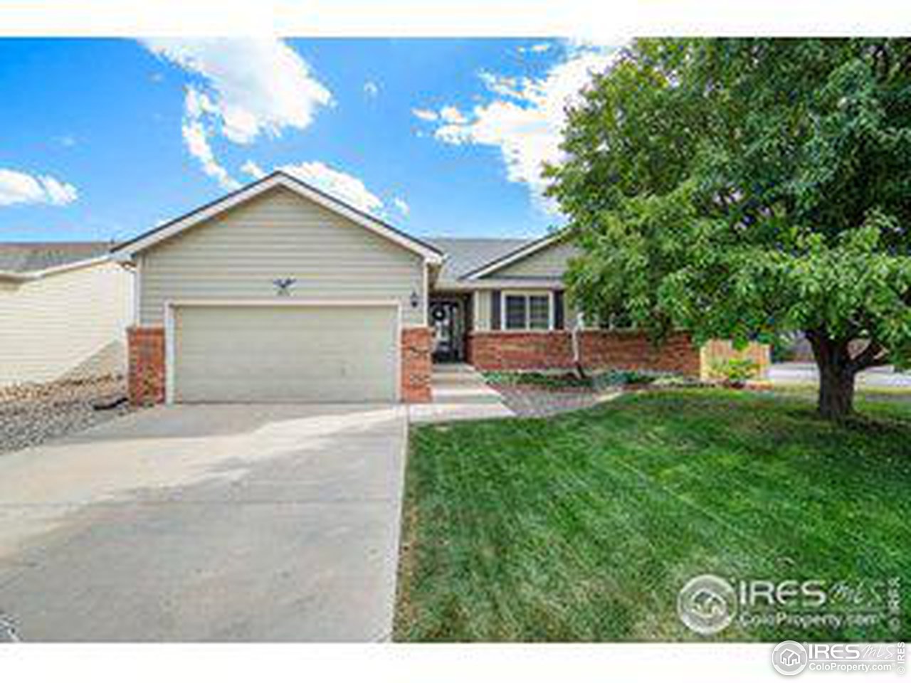301 Amber Drive Windsor, CO 80550 - Photo 2 of 25 Front View