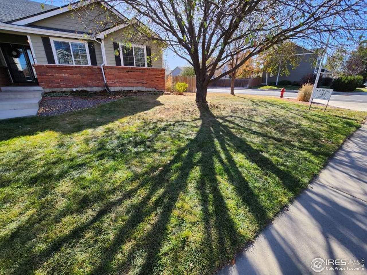 301 Amber Drive Windsor, CO 80550 - Photo 3 of 25 Corner lot