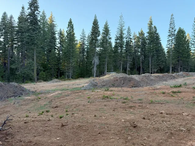 a view of road with trees