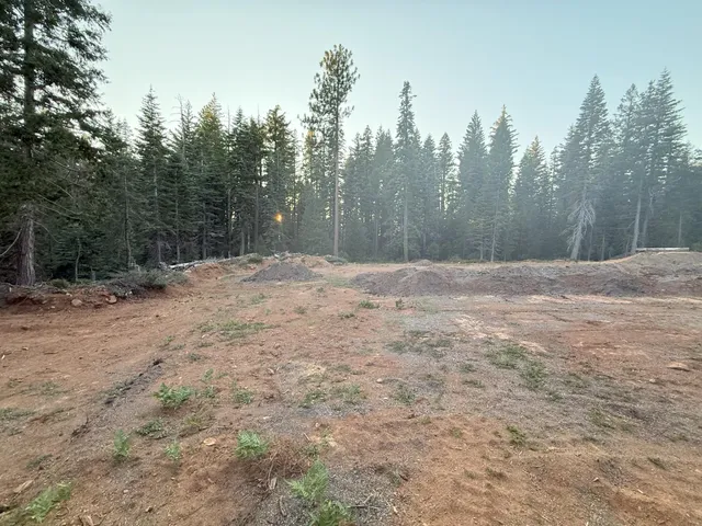 a view of empty field with trees in the background