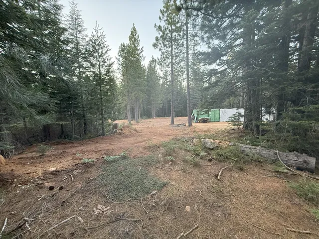 a ground with lots of trees