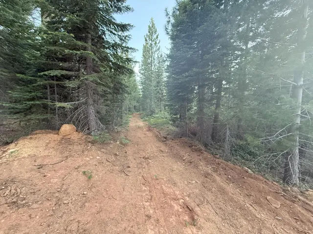 a backyard of a house