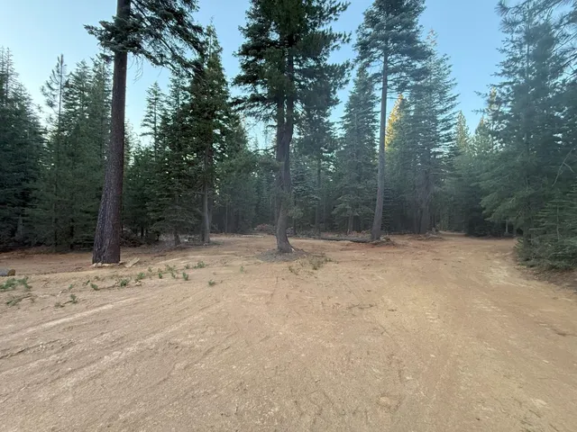 a view of a field with trees in the background