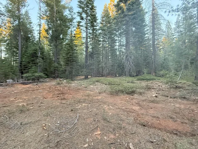 a view of outdoor space with green field and trees
