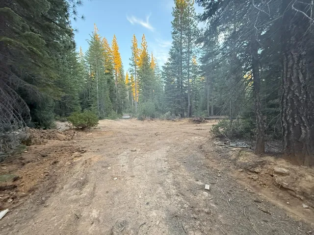 a view of outdoor space with trees