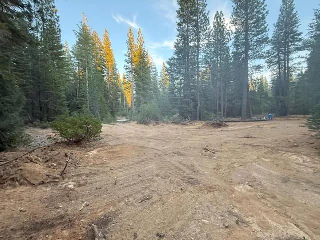 a view of road with trees