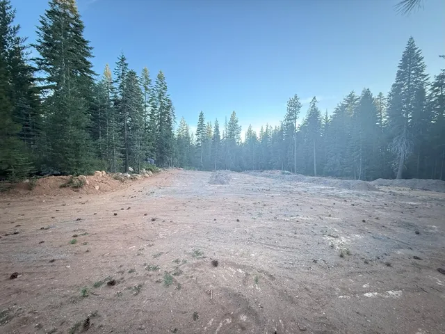 a view of a dry yard