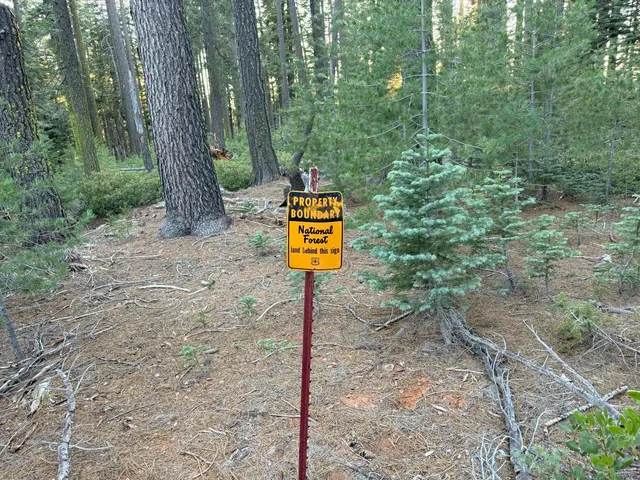 a sign that is sitting in the forest