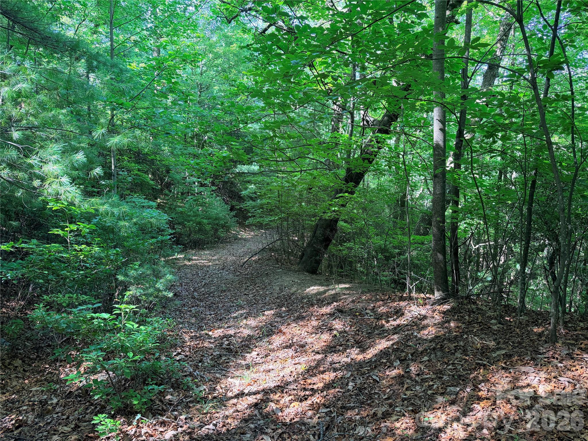 Tbd Blue Rock Road, Unit 171 & 172B Purlear, NC 28665 - Photo 12 of 44