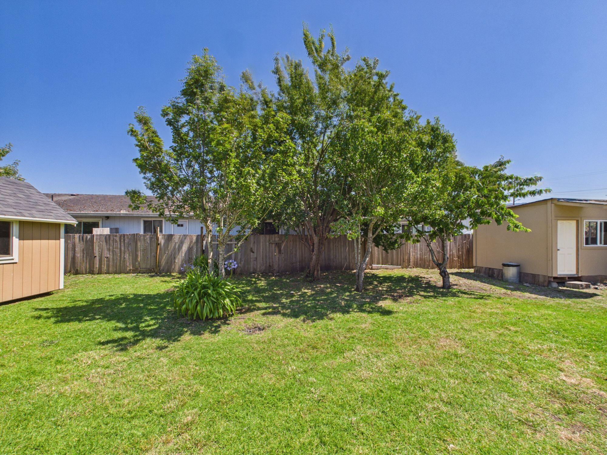 175 Davis Street Rio Dell, CA 95562 - Photo 23 of 25