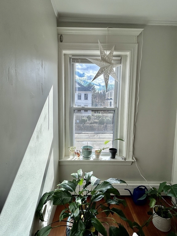 805 Washington Street, Unit 2 Brookline, MA 02446 - Photo 2 of 20 a view of a potted plant in front of a window