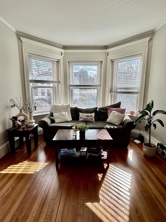 805 Washington Street, Unit 2 Brookline, MA 02446 - Photo 4 of 20 a living room with furniture large window and wooden floor