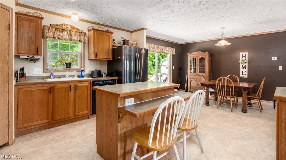 9180 North River Road East Dresden, OH 43821 - Photo 11 of 36 Kitchen with hanging light fixtures, stainless steel refrigerator, dishwasher, and plenty of natural light