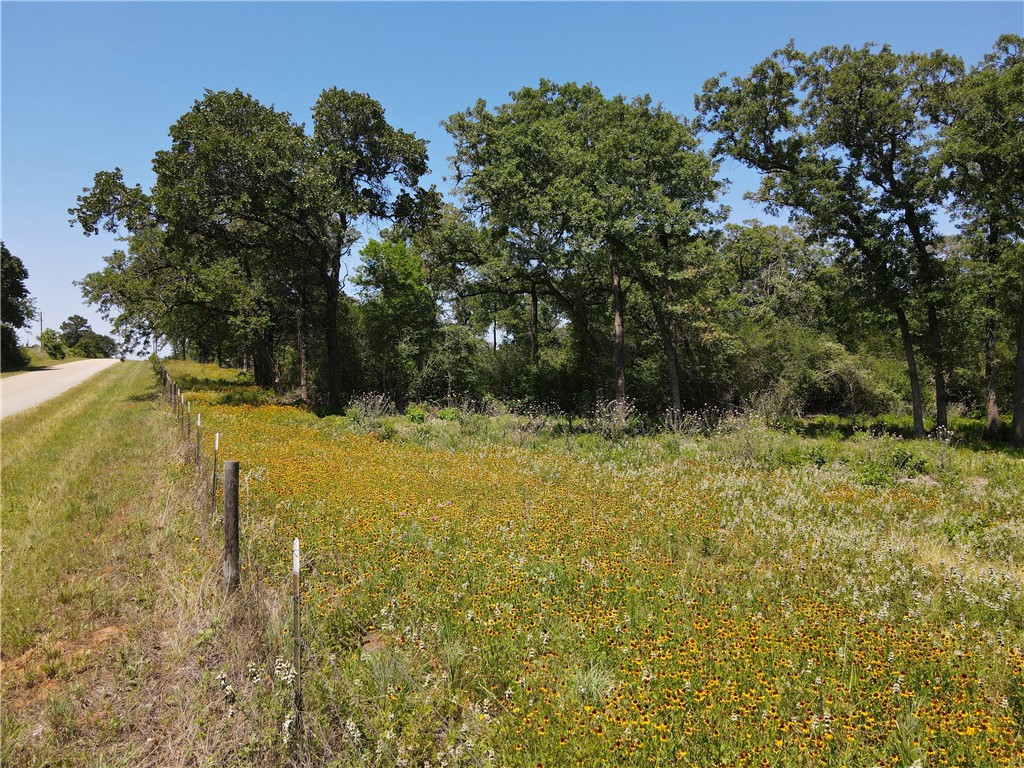 Tbd High Crossing Road, Unit 20 Smithville, TX 78957 - Photo 1 of 1 Gallery Image 1