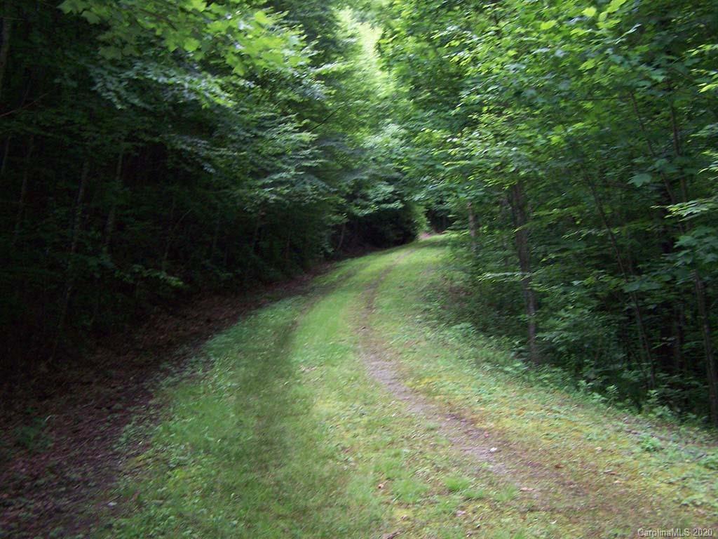 12 Happy Hollow Road, Unit 12 Clyde, NC 28721 - Photo 12 of 16 a view of outdoor space and yard
