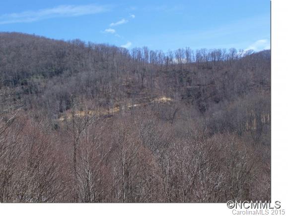 12 Happy Hollow Road, Unit 12 Clyde, NC 28721 - Photo 5 of 16 a view of a dry yard with green space