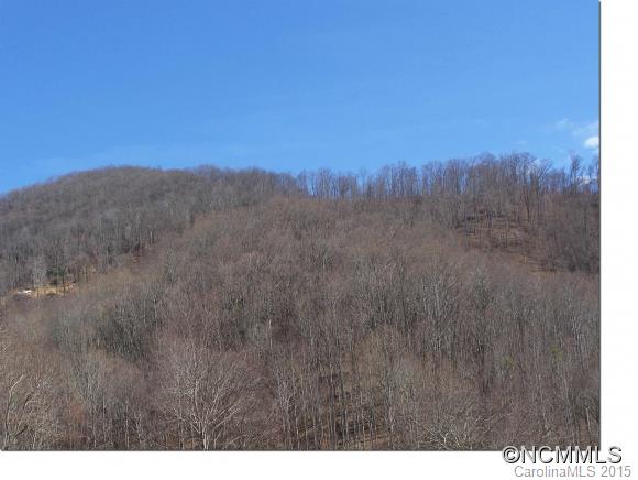 12 Happy Hollow Road, Unit 12 Clyde, NC 28721 - Photo 7 of 16 a view of a yard with a mountain