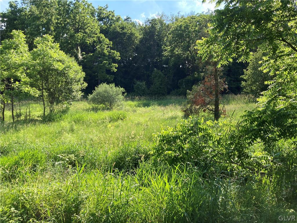 669 South Summit Road Bath, PA 18014 - Photo 45 of 50 a view of a garden