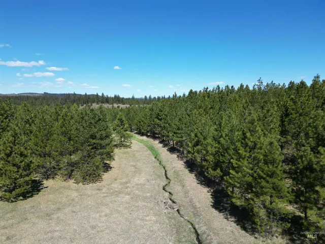 $600,000 | Tbd Middle Road, Ahsahka, ID 83520