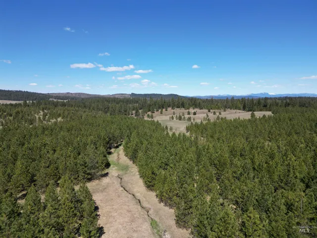 $600,000 | Tbd Middle Road, Ahsahka, ID 83520