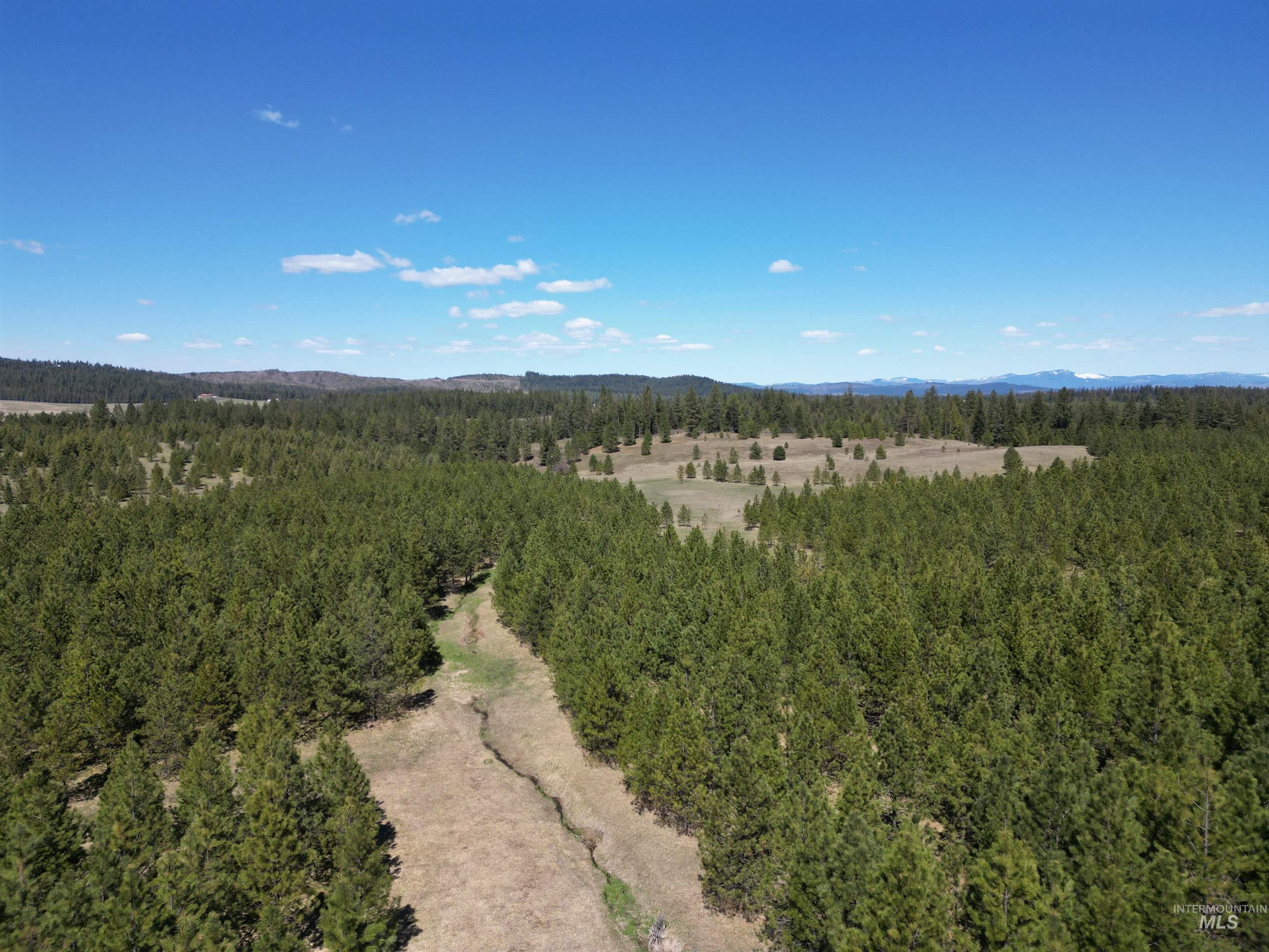 Tbd Middle Road Ahsahka, ID 83520 - Photo 20 of 31 Bird's eye view of a forest and a mountainous background