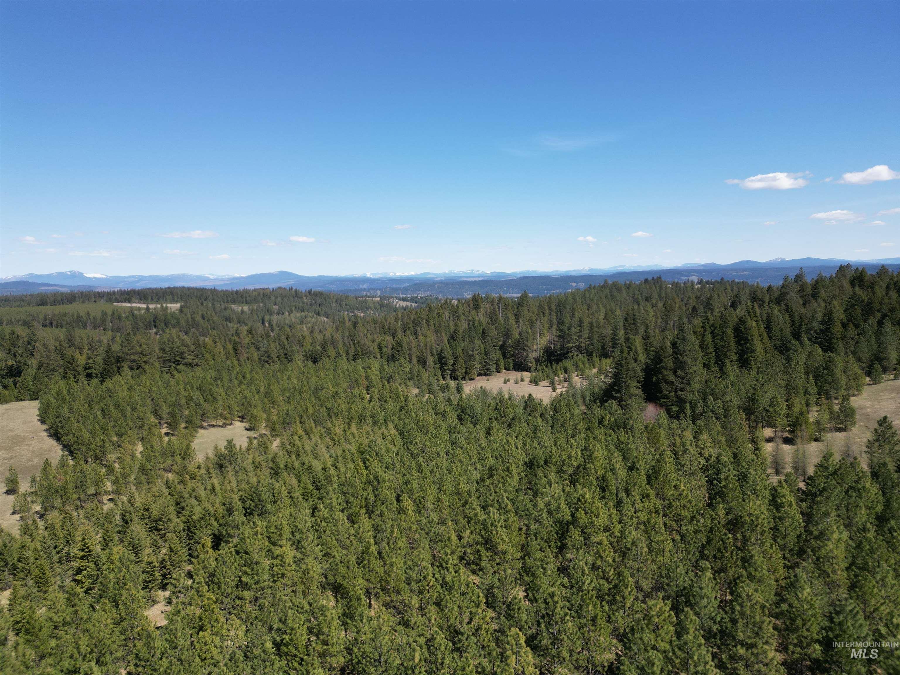 Tbd Middle Road Ahsahka, ID 83520 - Photo 21 of 31 Drone / aerial view of a heavily wooded area and a mountainous background