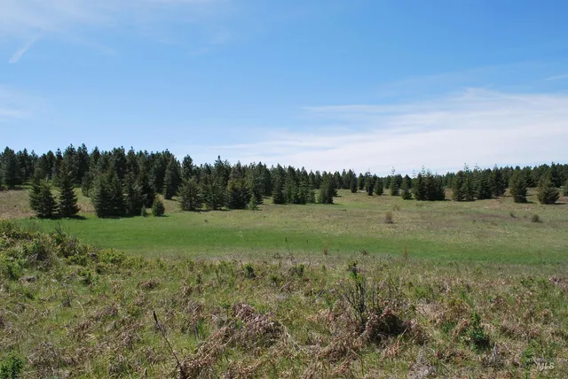 $600,000 | Tbd Middle Road, Ahsahka, ID 83520