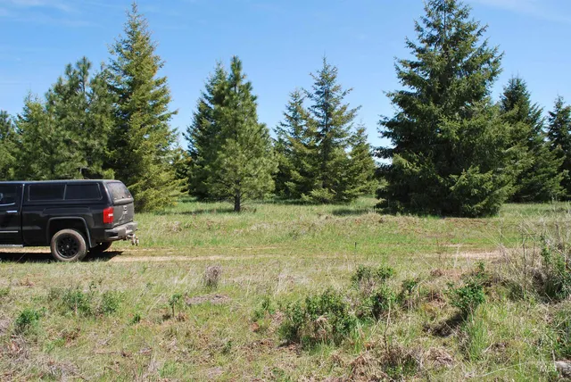 $600,000 | Tbd Middle Road, Ahsahka, ID 83520