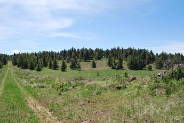 $600,000 | Tbd Middle Road, Ahsahka, ID 83520