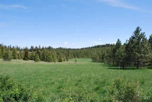 $600,000 | Tbd Middle Road, Ahsahka, ID 83520