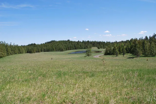 $600,000 | Tbd Middle Road, Ahsahka, ID 83520