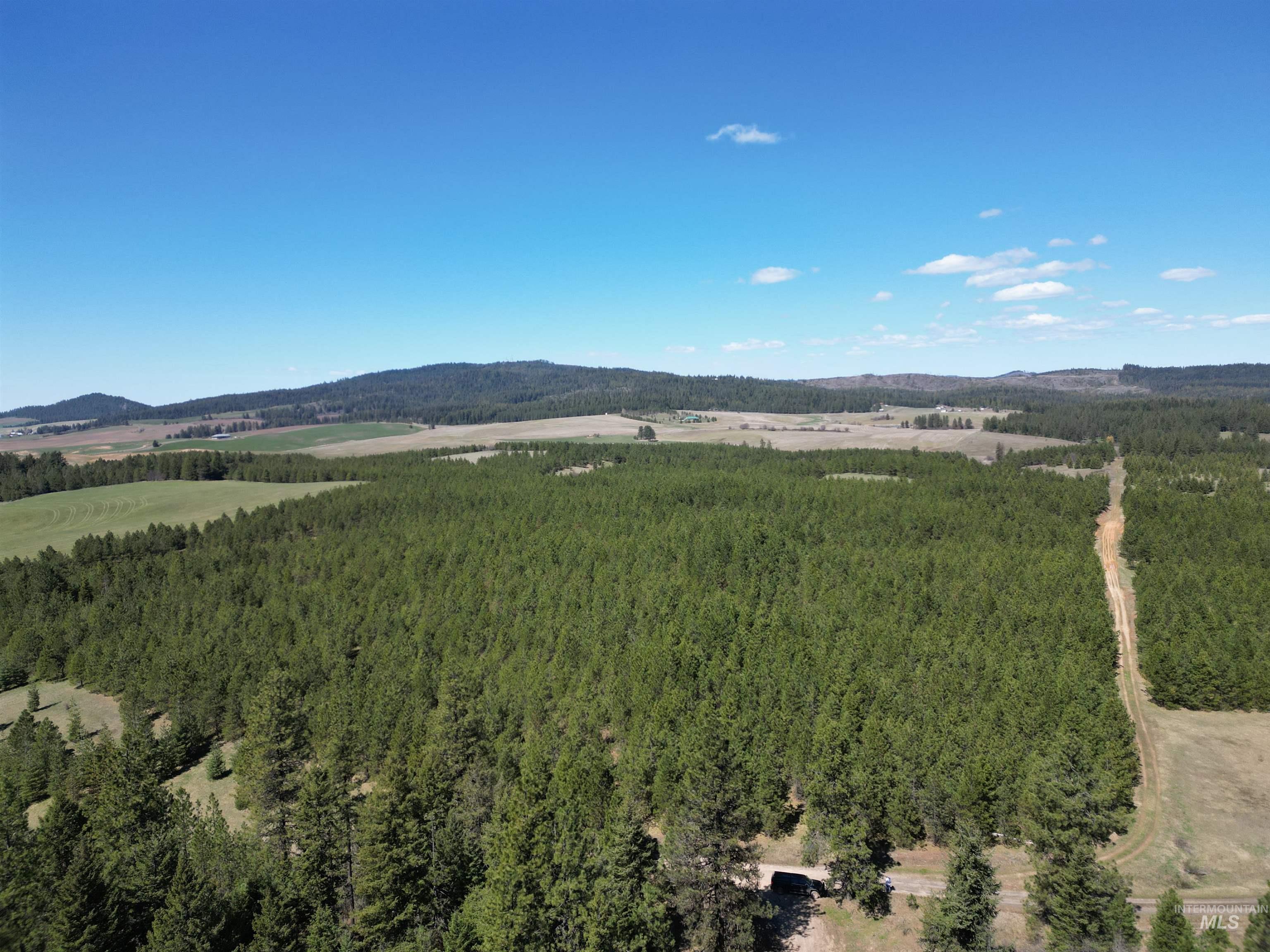 Tbd Middle Road Ahsahka, ID 83520 - Photo 4 of 31 Drone / aerial view of a heavily wooded area and a mountain backdrop