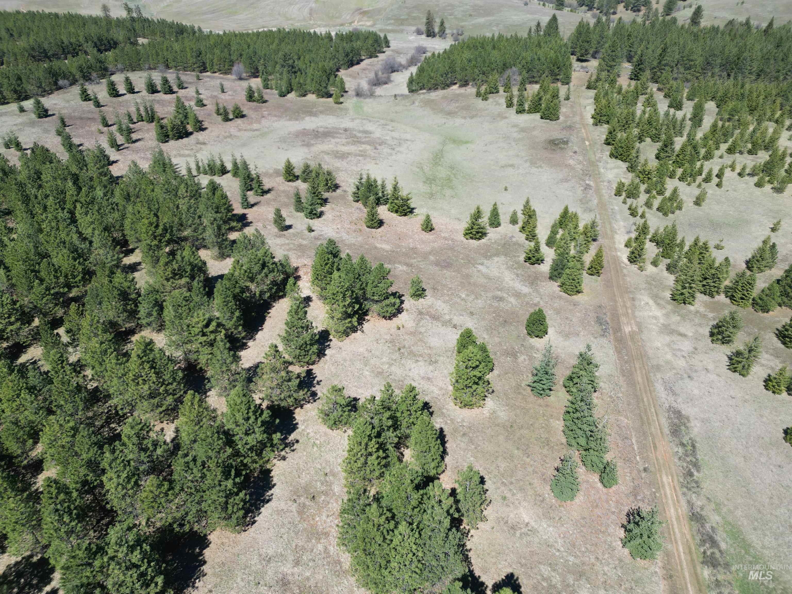 Tbd Middle Road Ahsahka, ID 83520 - Photo 6 of 31 Overview of rural landscape featuring a heavily wooded area