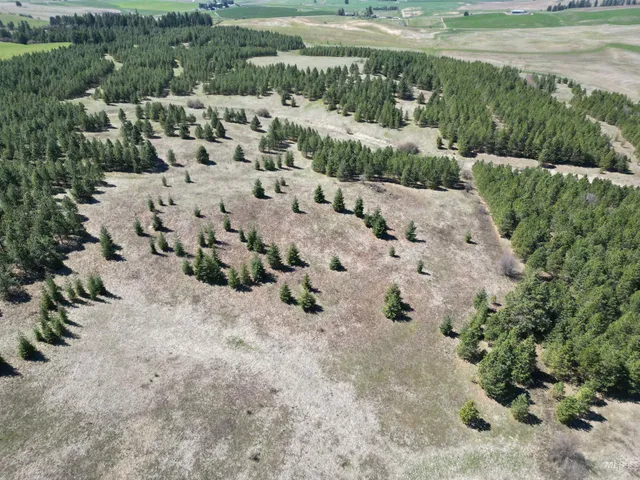 $600,000 | Tbd Middle Road, Ahsahka, ID 83520