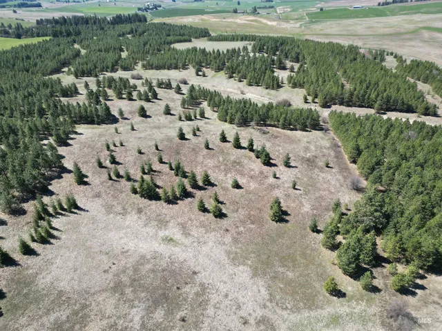 $600,000 | Tbd Middle Road, Ahsahka, ID 83520