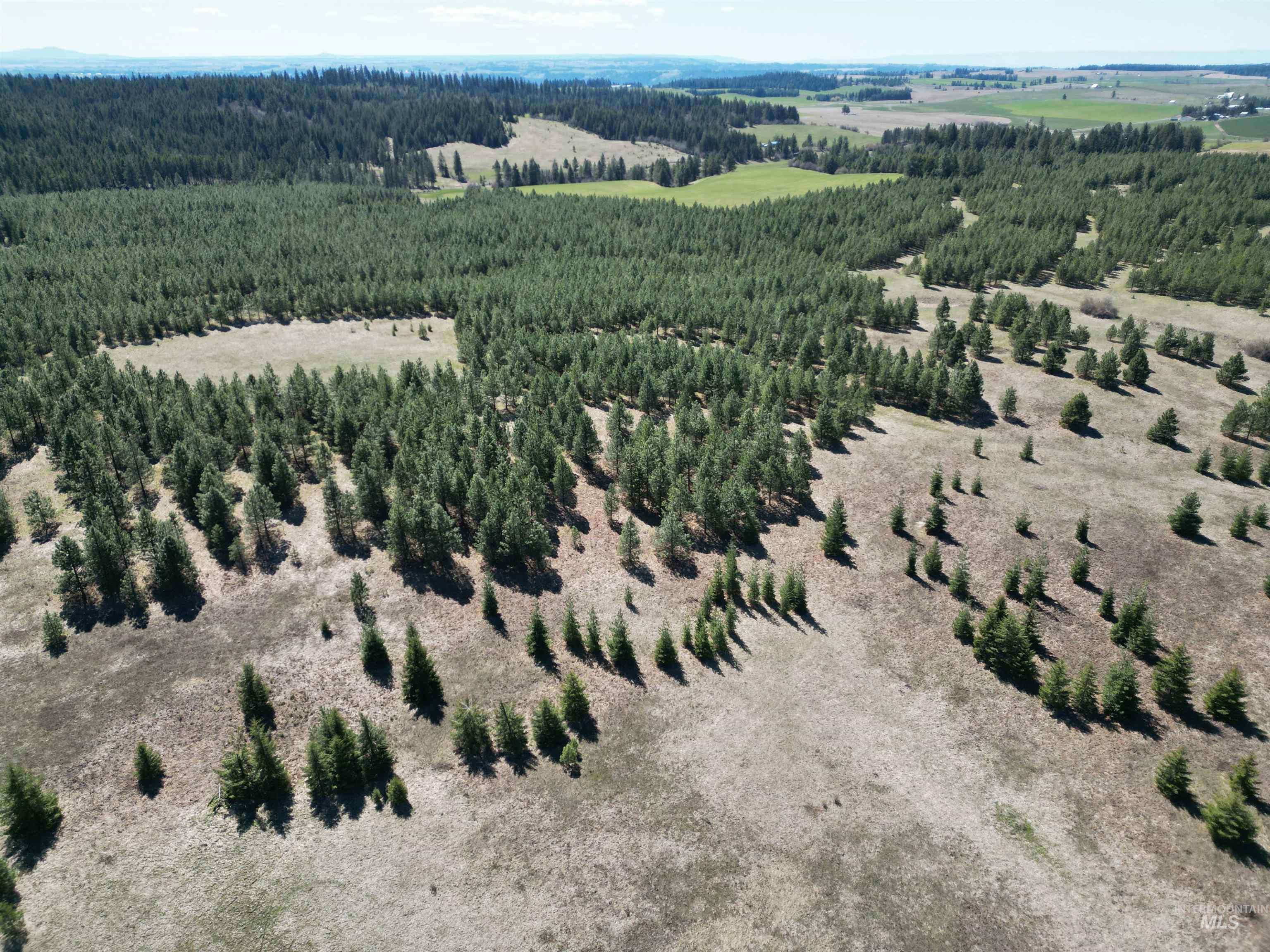 Tbd Middle Road Ahsahka, ID 83520 - Photo 9 of 31 Bird's eye view of a heavily wooded area