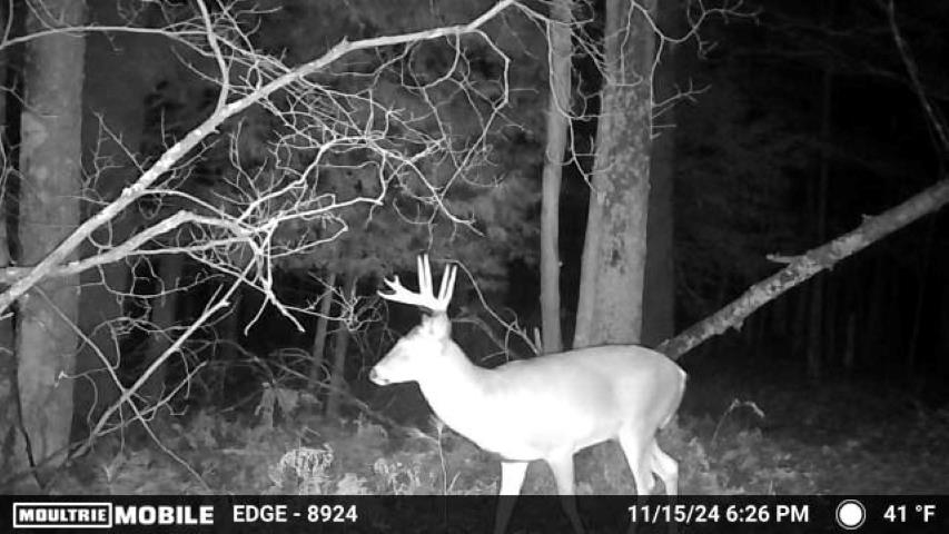 Vl Kolarvic Road Manton, MI 49663 - Photo 12 of 28
